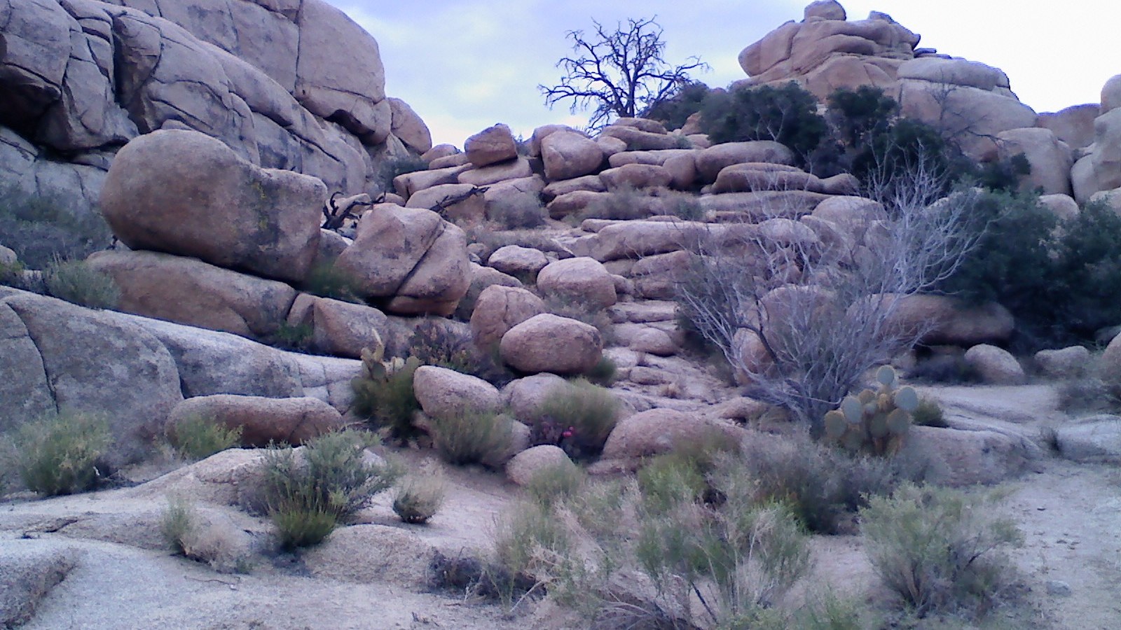 Joshua Tree National Park; locul morții, nu un concert Parsons