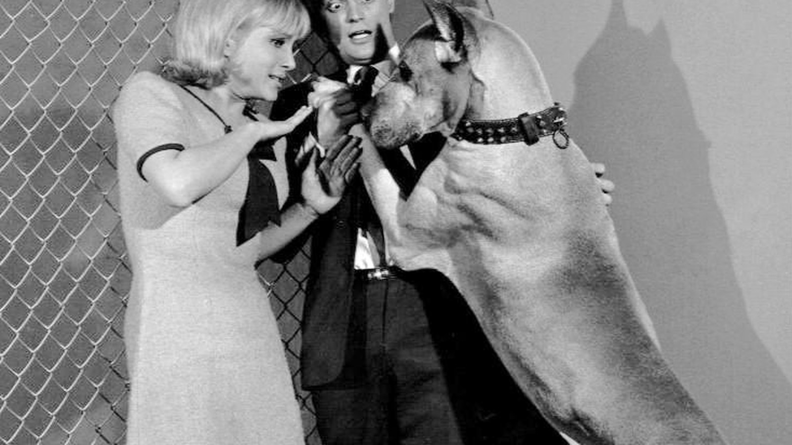 David McCallum și Susan Oliver într-un cadru The Man from U.N.C.L.E., 1965; nu NCIS