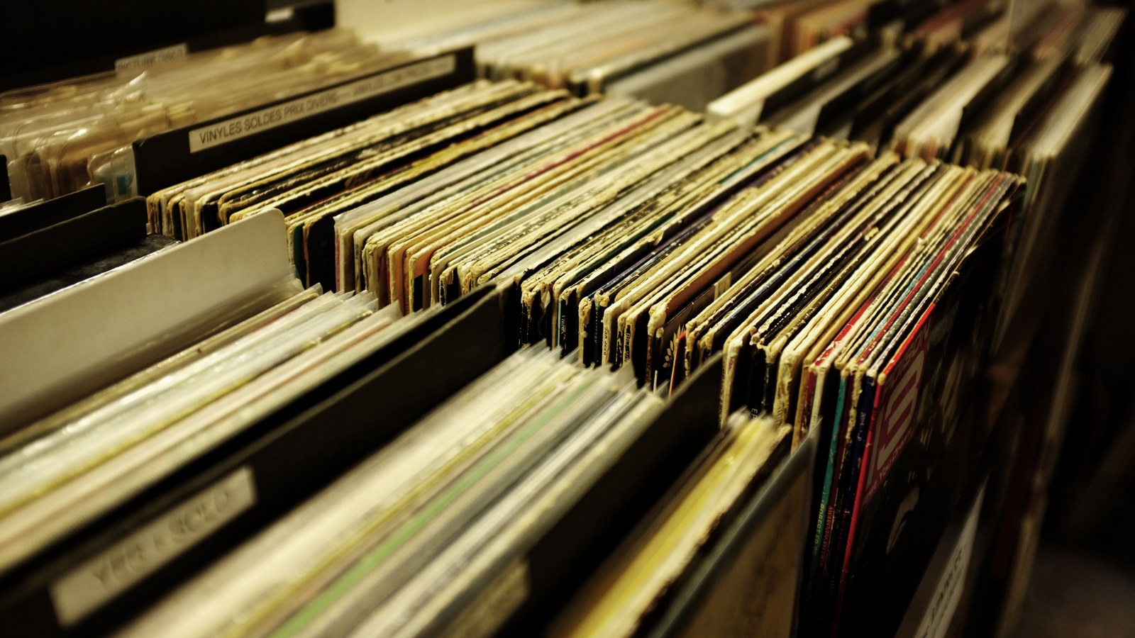 Vinyl shelves; not the Ahoy stands on 26 September 2026