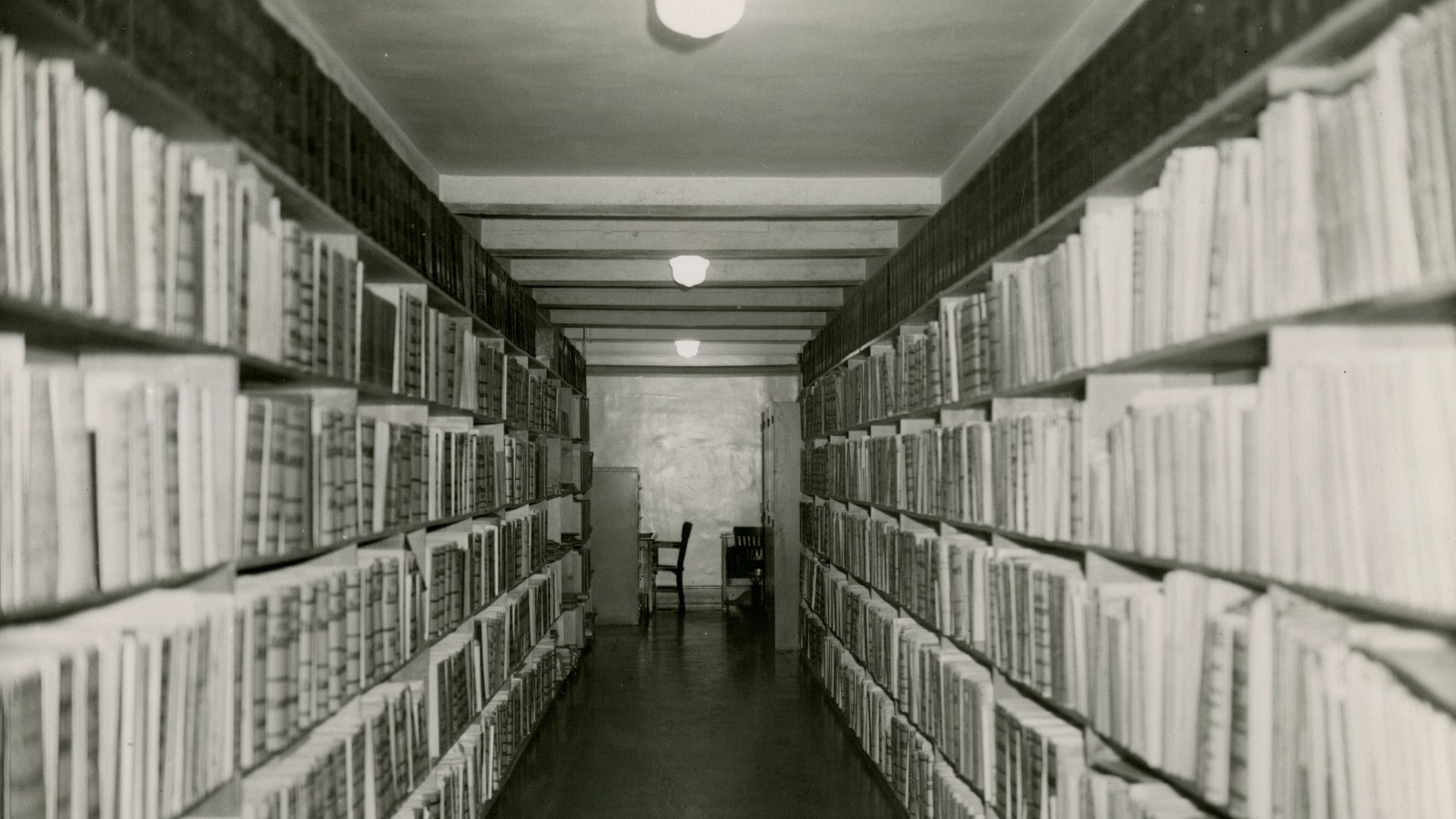 The project aims to preserve historic holdings and improve public, educational and research access.