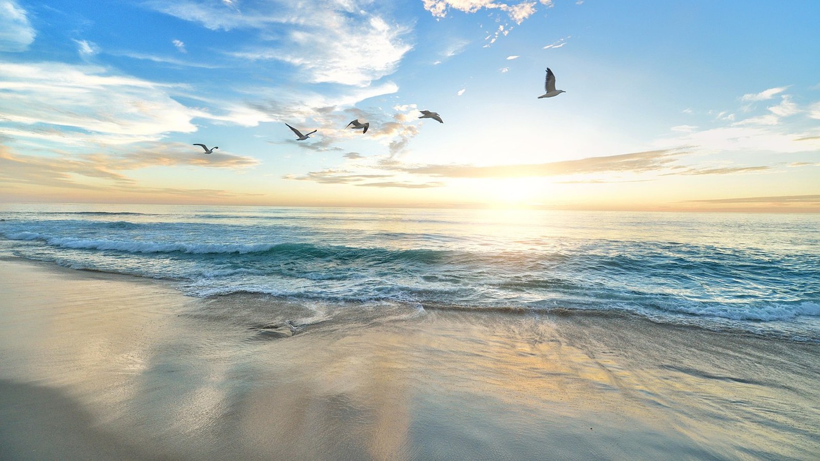 Plajă și pescăruși la apus, imagine de arhivă asociată unui peisaj de coastă