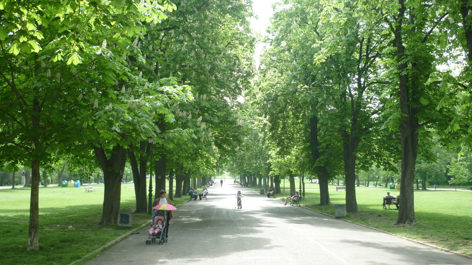 Alee în Borisova Gradina, Sofia; nu parcul Hipodruma unde are loc MustArt Fest 2026