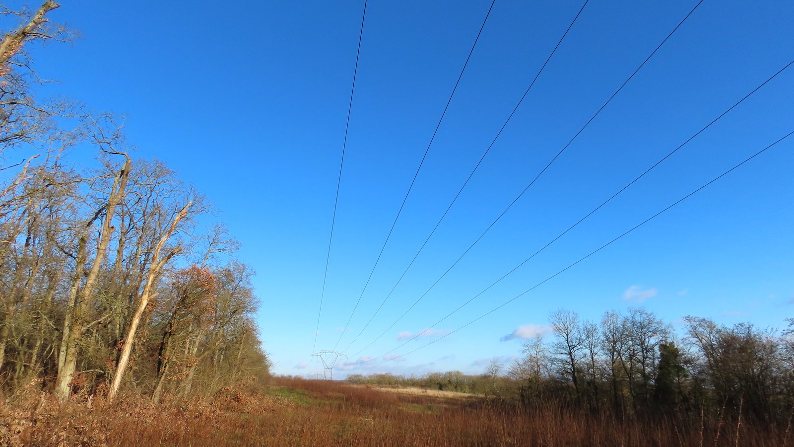 A high-voltage power line in Île-de-France; electricity grids have become industrial infrastructure for AI and factories