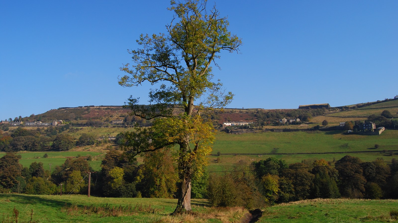 Peisaj rural lângă Horley, Surrey, în zona câmpului petrolier Horse Hill, nu instalația de extracție