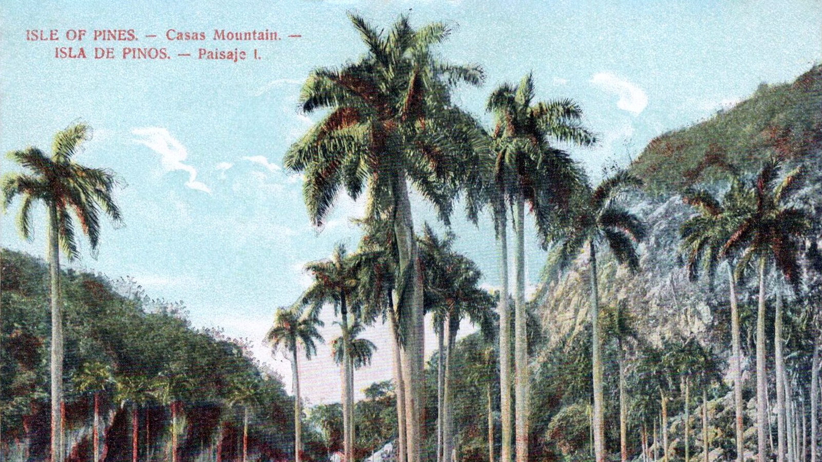 Peisaj pe Insula Pinilor (Isle of Pines), Cuba, circa 1910