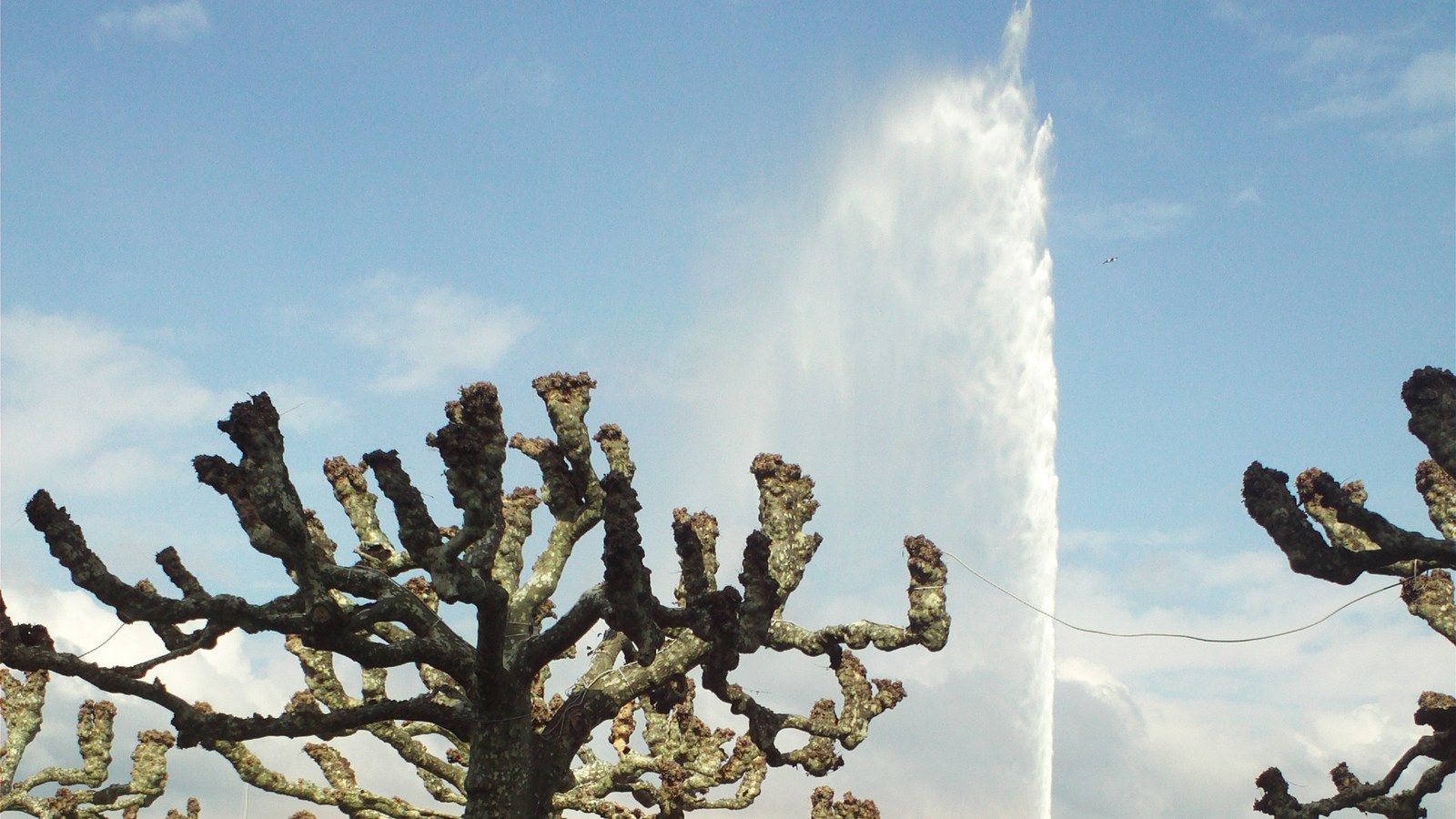 Geneva