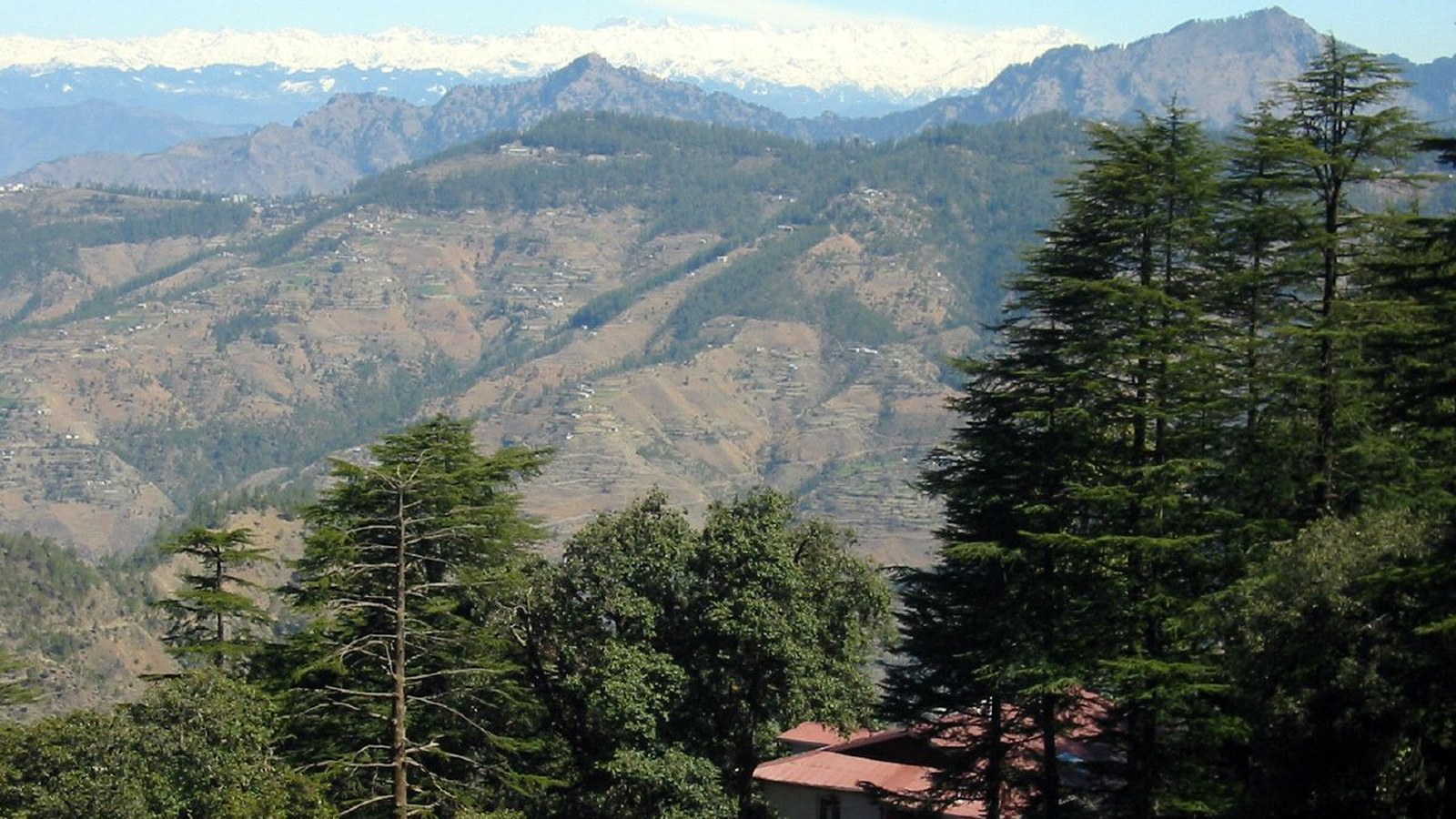 Shimla / Himalaya