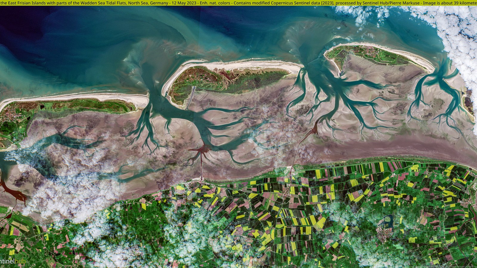 Wadden Sea 1990