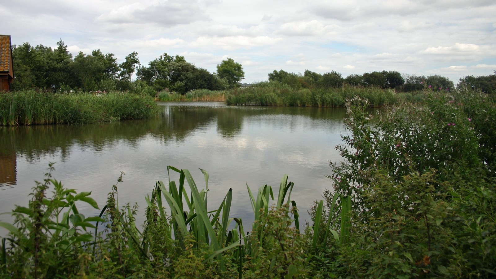 Situl arheologic Flag Fen din apropiere de Peterborough, unde începe o nouă excavare a vestigiilor din Epoca Bronzului