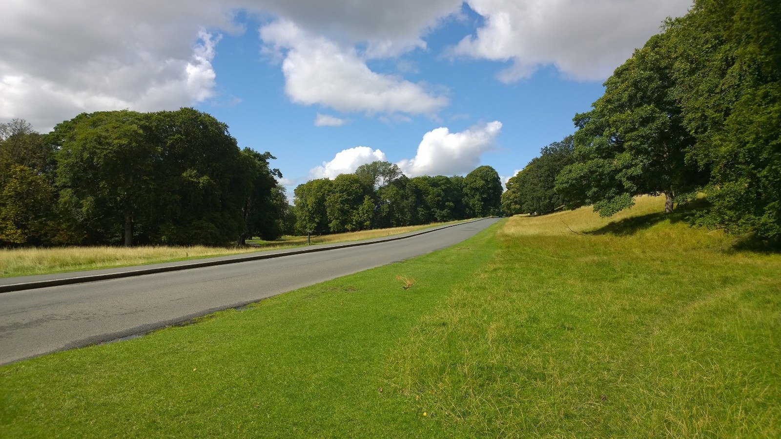 Phoenix Park, Dublin, 2015; not the 2026 opening ceremony