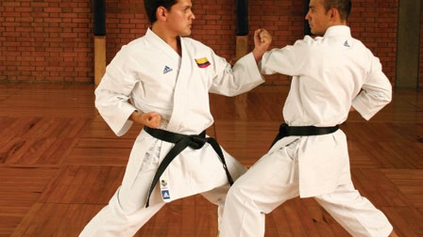 Italia, 80 kg. Nu e Ursu. Nu e karate olimpic WKF.