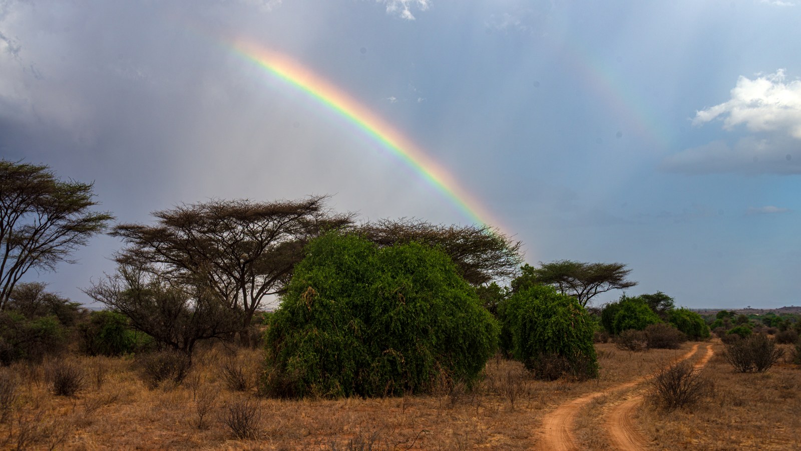 Curcubeu deasupra peisajului din Rezervația Samburu, Kenya, după ploaie, cu un al doilea arc slab