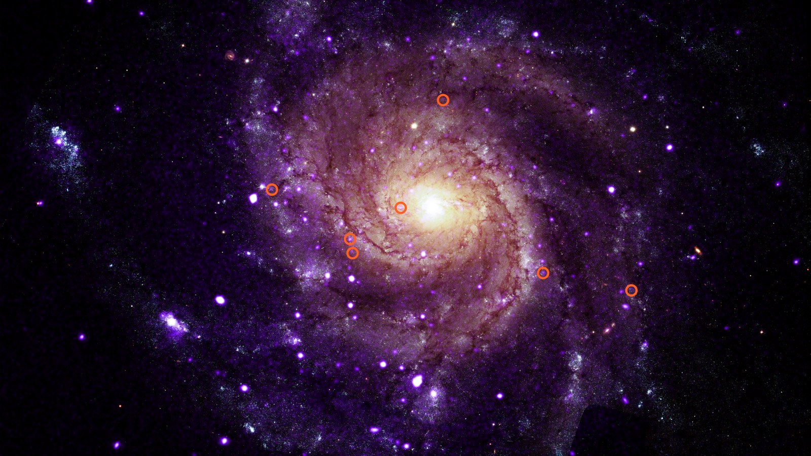 Galaxia M101 observată de Chandra și Hubble, cu unele dintre noile surse hipersoft de raze X identificate de astronomi