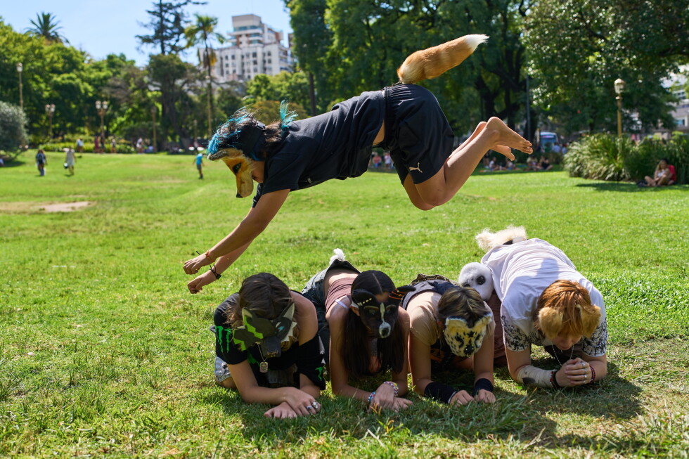 Viral phenomenon in Argentina: young people identifying as animals